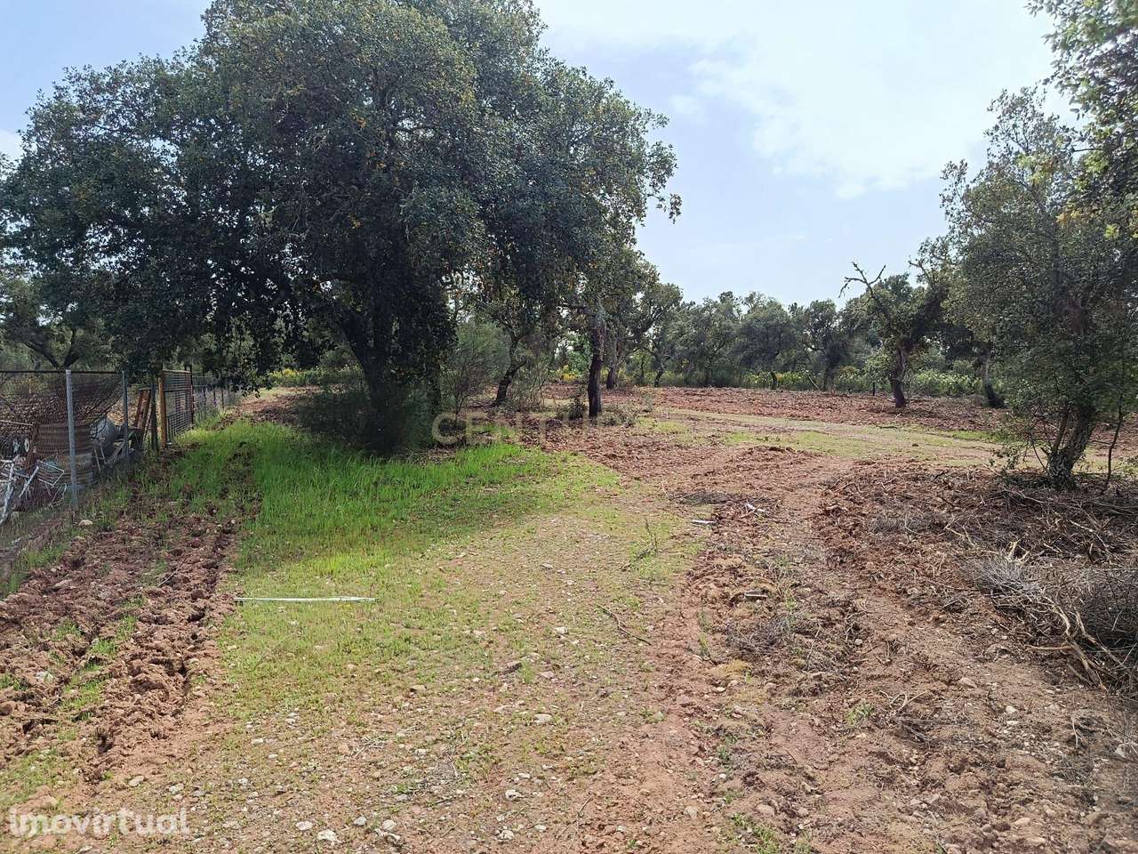 Terreno Rústico com 1.6ha Monfortinho - Grande imagem: 3/20