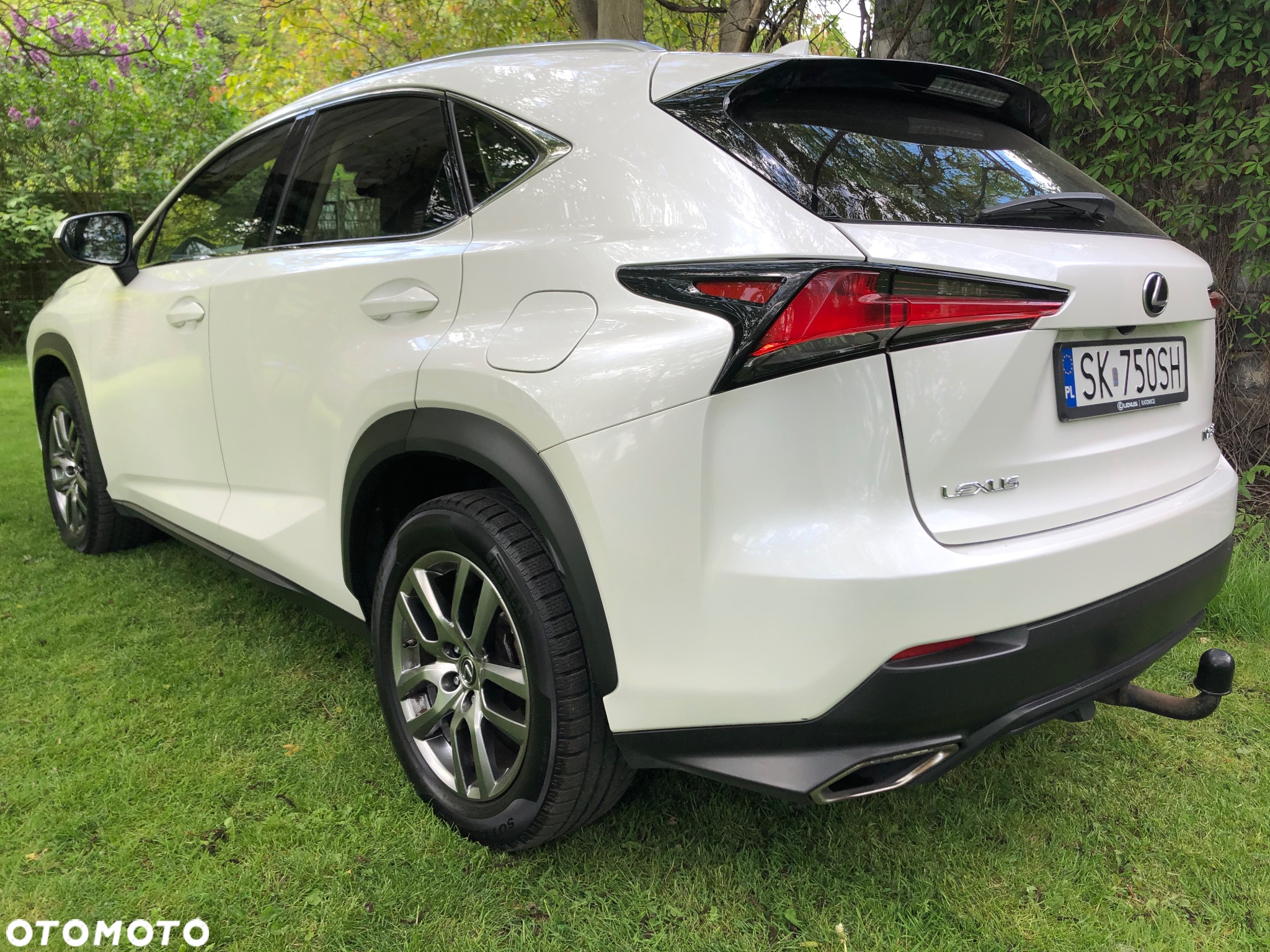 Lexus NX 300 Business Edition AWD - 4