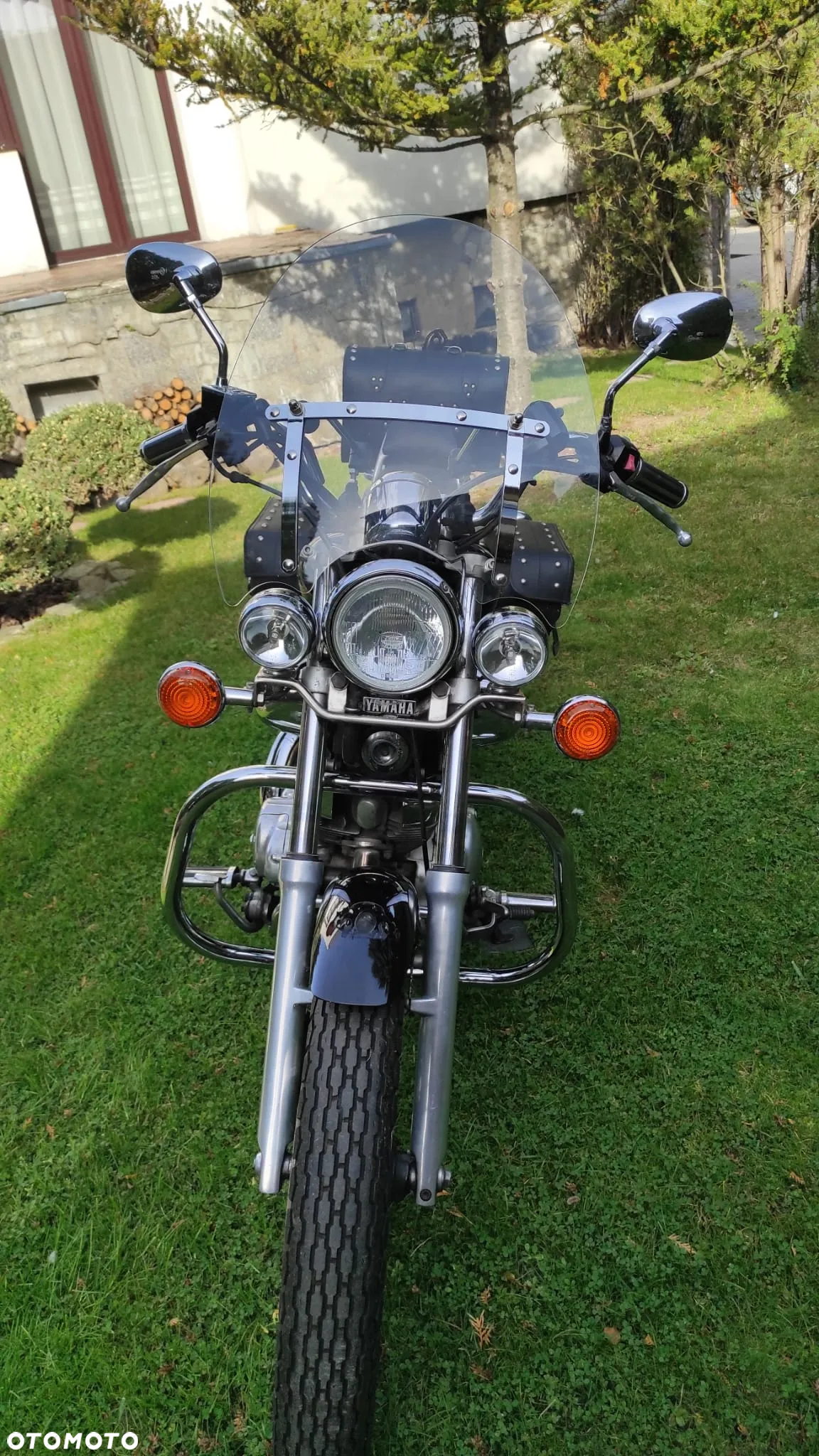Yamaha Virago - 3