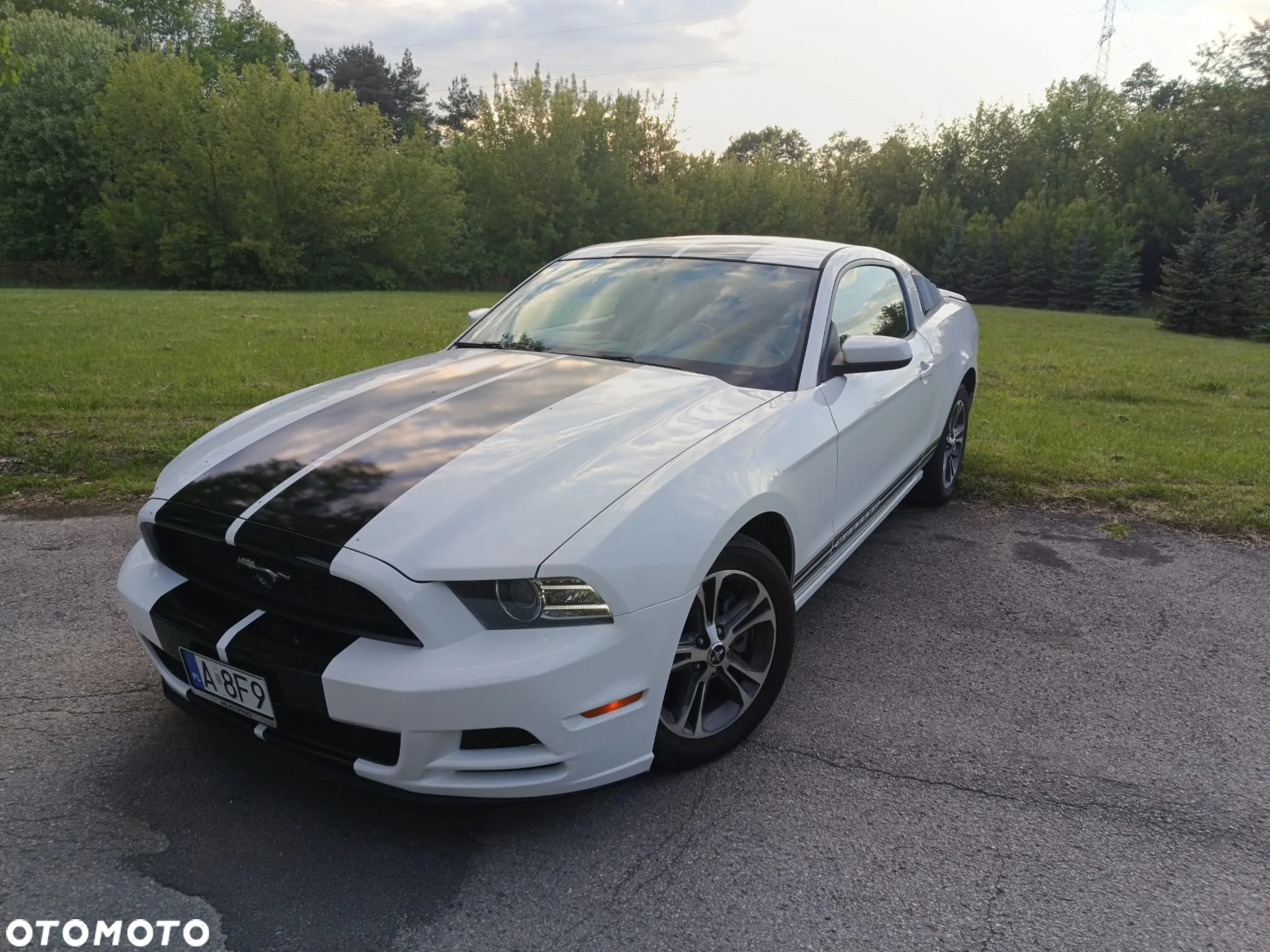 Ford Mustang 3.7 V6 Premium - 15