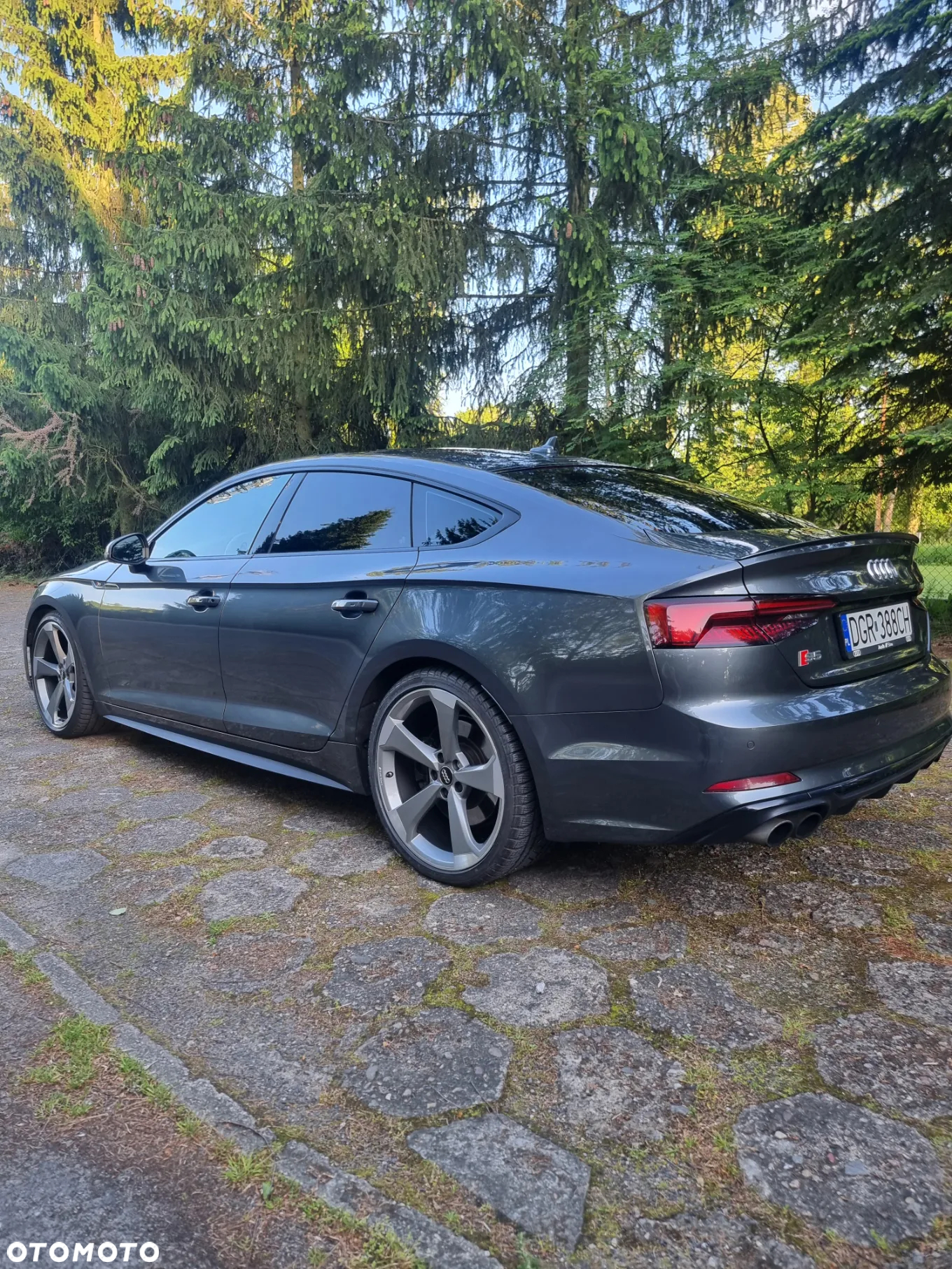 Audi S5 3.0 TFSI Quattro Tiptronic - 5