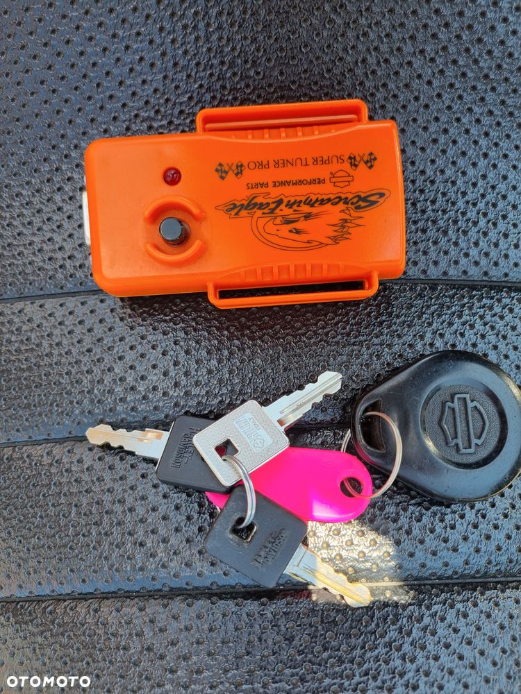 Harley-Davidson Sportster Roadster 883R - 11