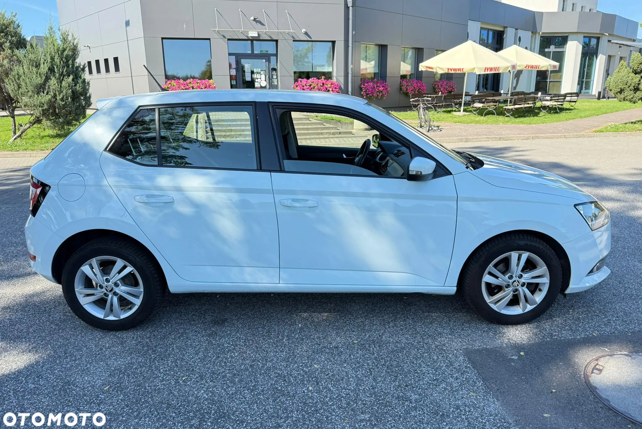 Skoda Fabia 1.0 TSI Ambition - 6