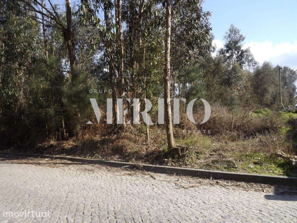 Terreno plano com 11.000m2 de construção - Grande imagem: 2/4
