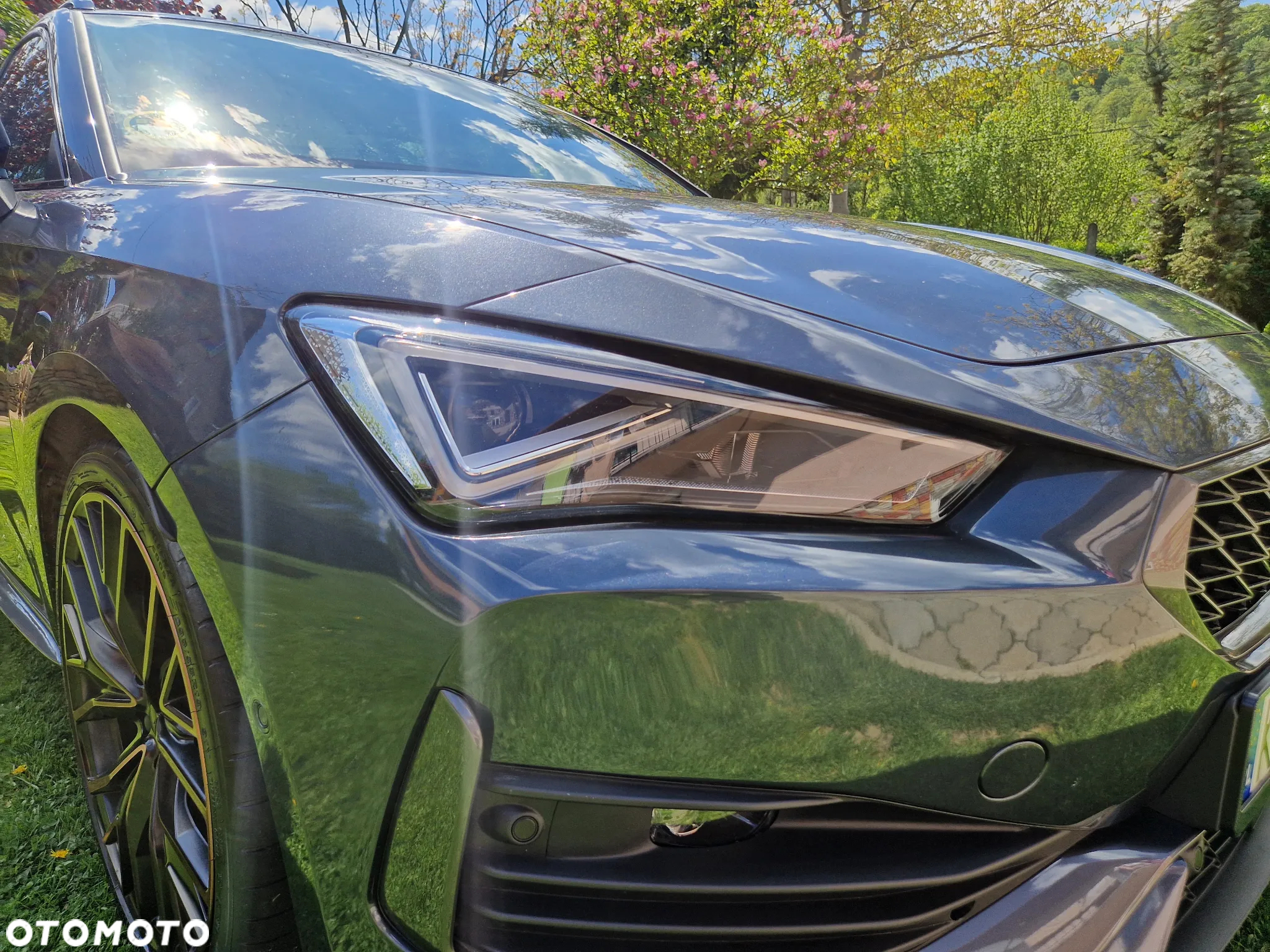 Cupra Leon 2.0 TSI DSG - 19