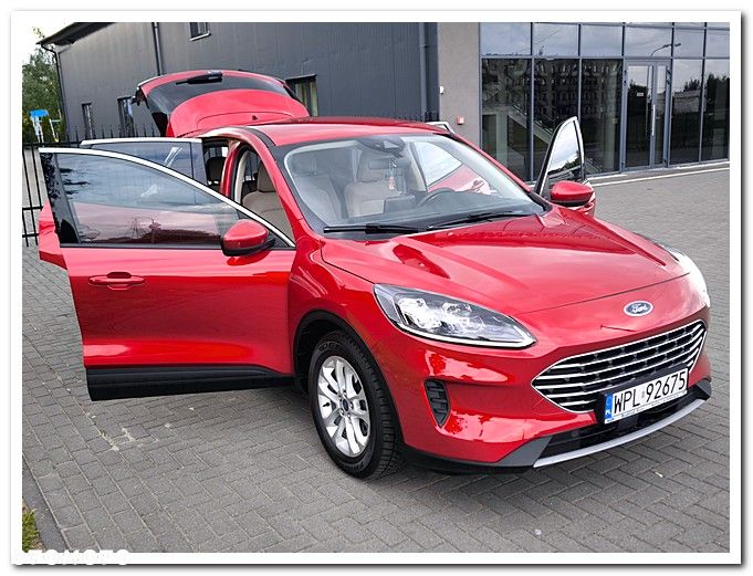 Ford Escape - 16