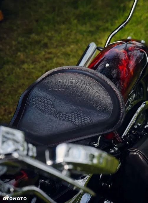 Harley-Davidson Softail Custom - 6