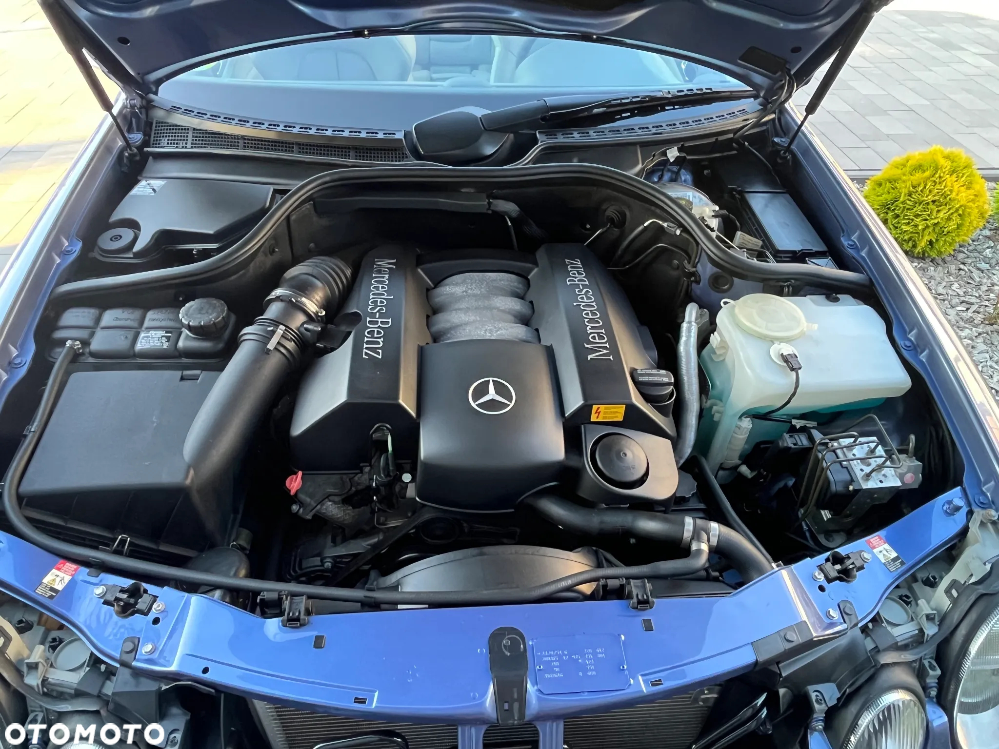 Mercedes-Benz CLK 320 Elegance - 34