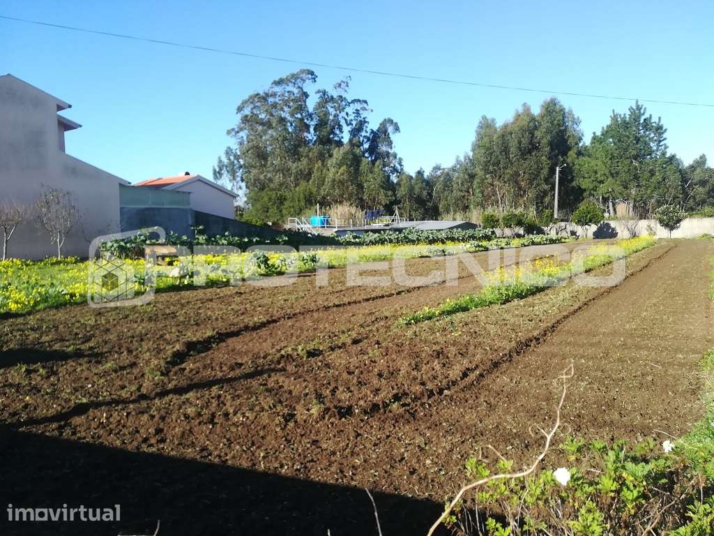 Terreno c/ 1.400m2 - Cacia - Grande imagem: 5/7