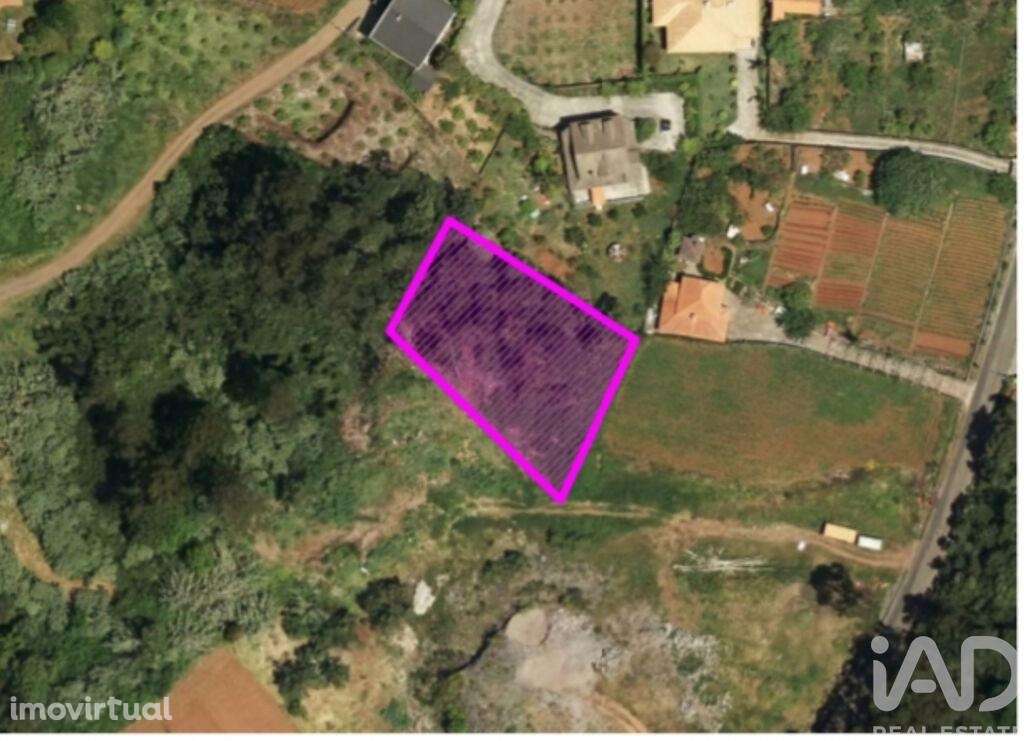 Terreno em São Jorge de 1310,00 m2 - Grande imagem: 5/6