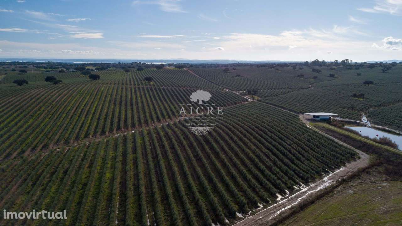 Herdade Alentejo - Grande imagem: 5/60
