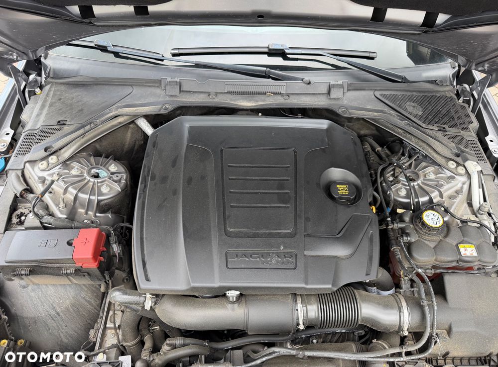 Jaguar XE P250 R-Dynamic SE - 25
