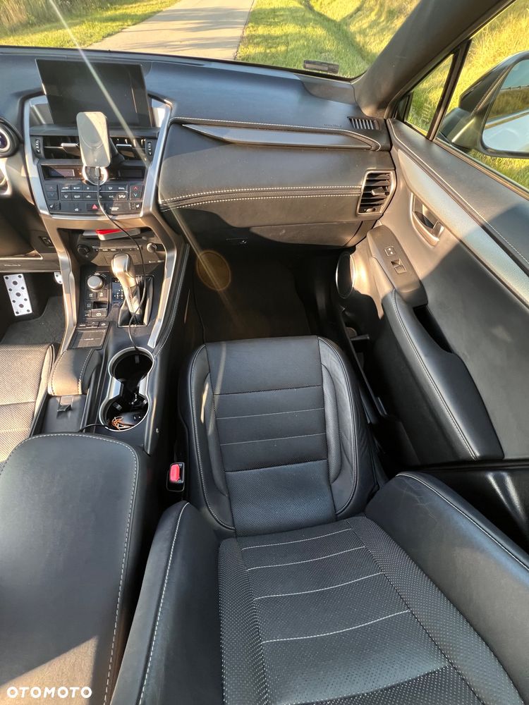 Lexus NX 300h F Sport Edition AWD - 19