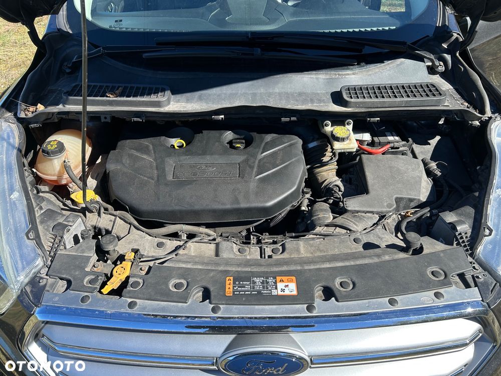 Ford Escape - 10