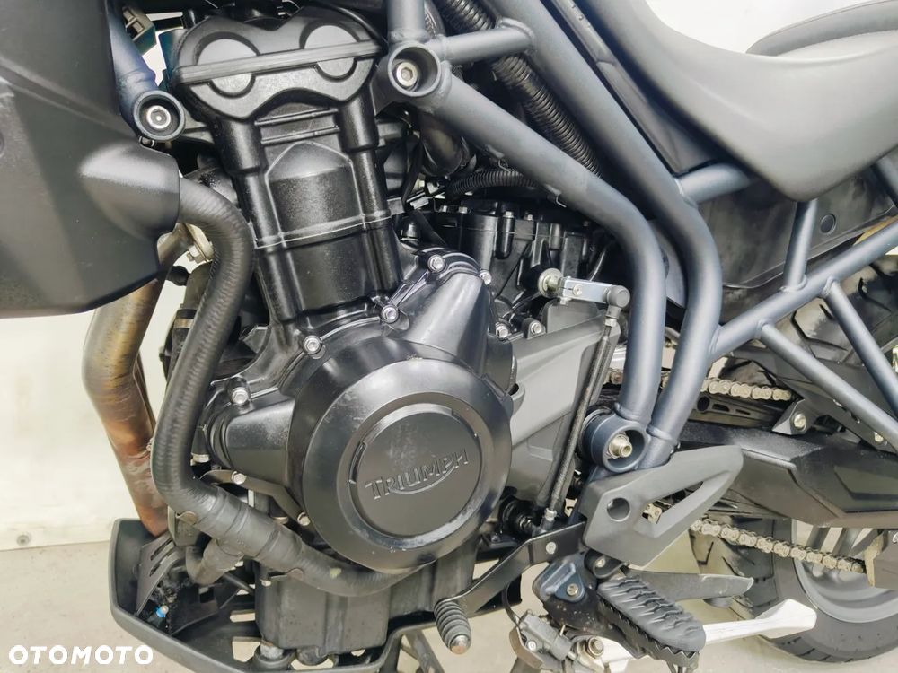 Triumph Tiger - 21