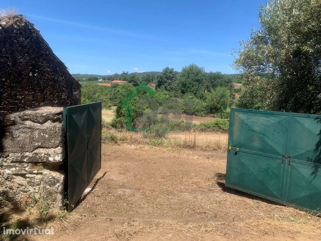 Quintinha - Grande imagem: 5/11