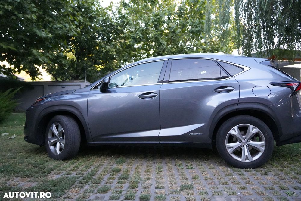 Lexus Seria NX 300h AWD Luxury - 1