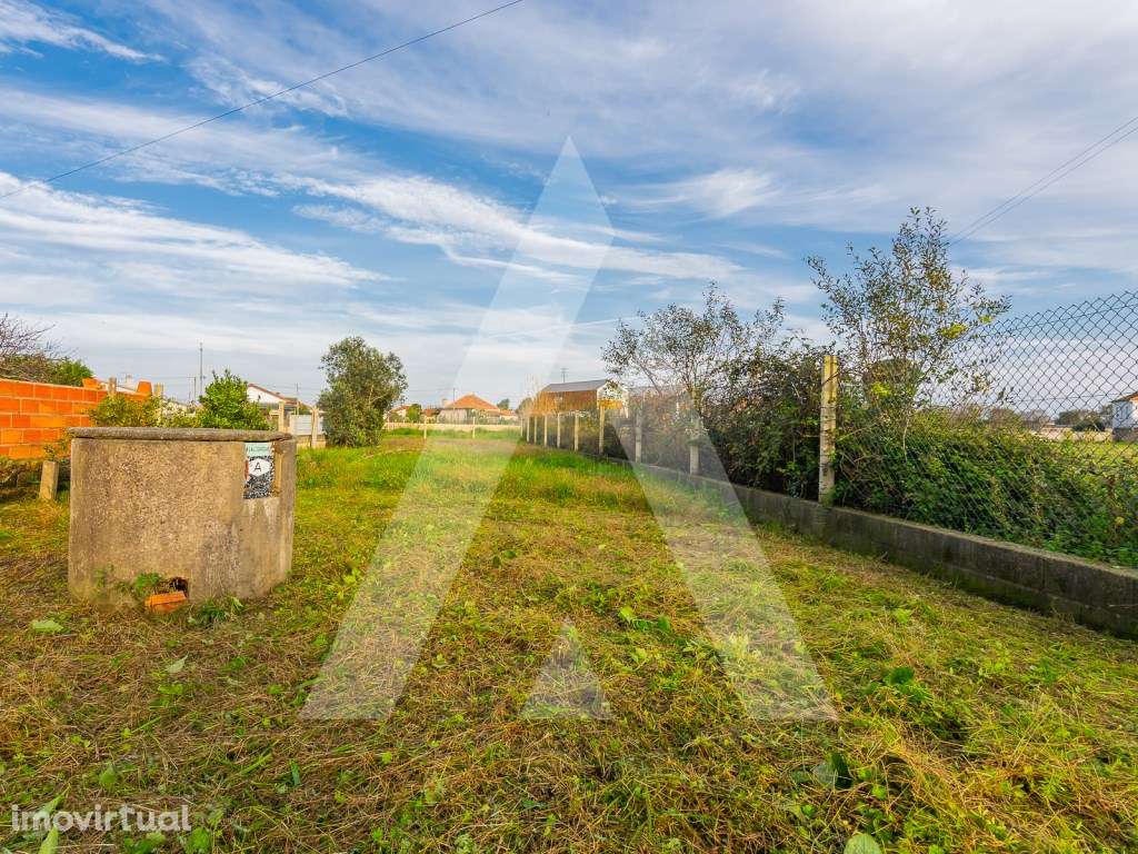 Terreno - Perto da Ria de Aveiro - Grande imagem: 5/6