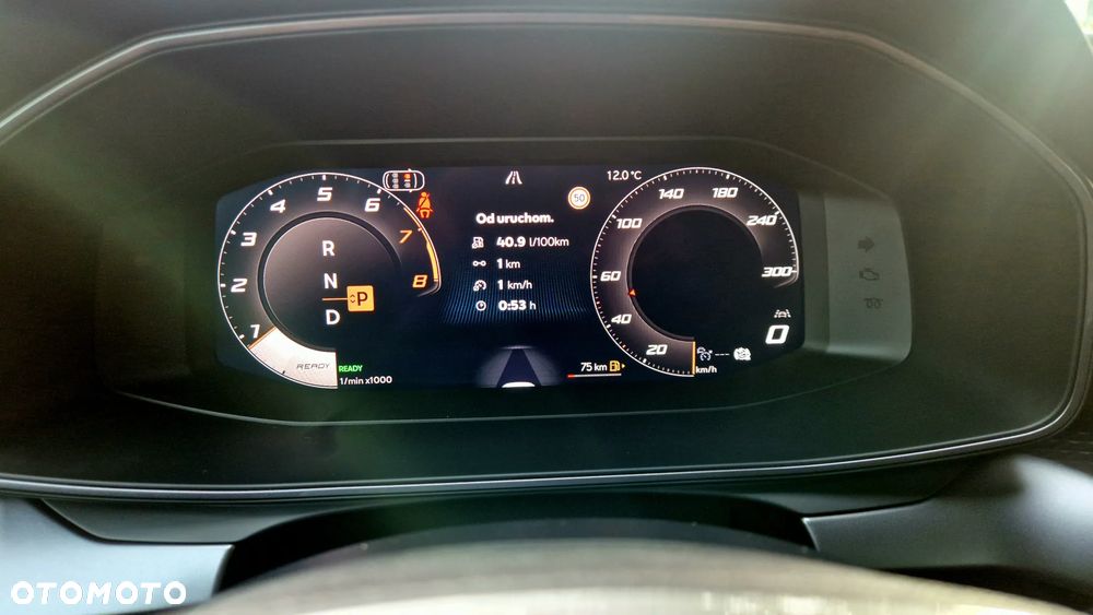 Cupra Formentor 1.5 eTSI mHEV Tribe Edition DSG - 24