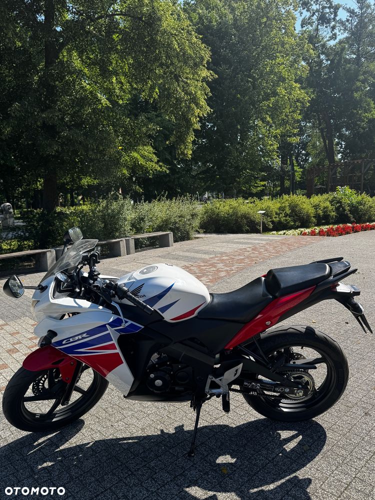 Honda CBR - 6