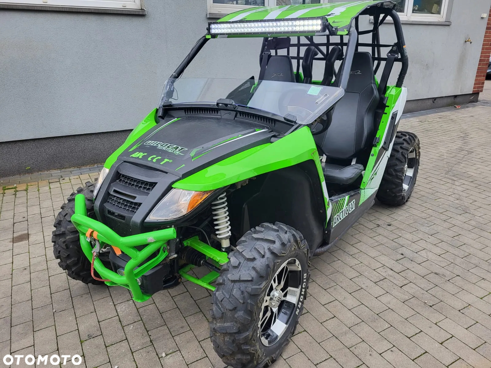 Arctic Cat Inny