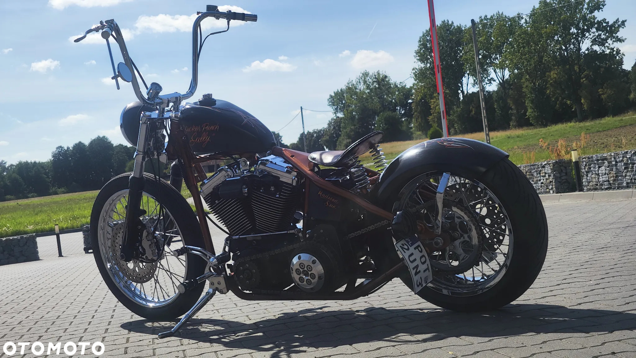 Harley-Davidson Softail - 7