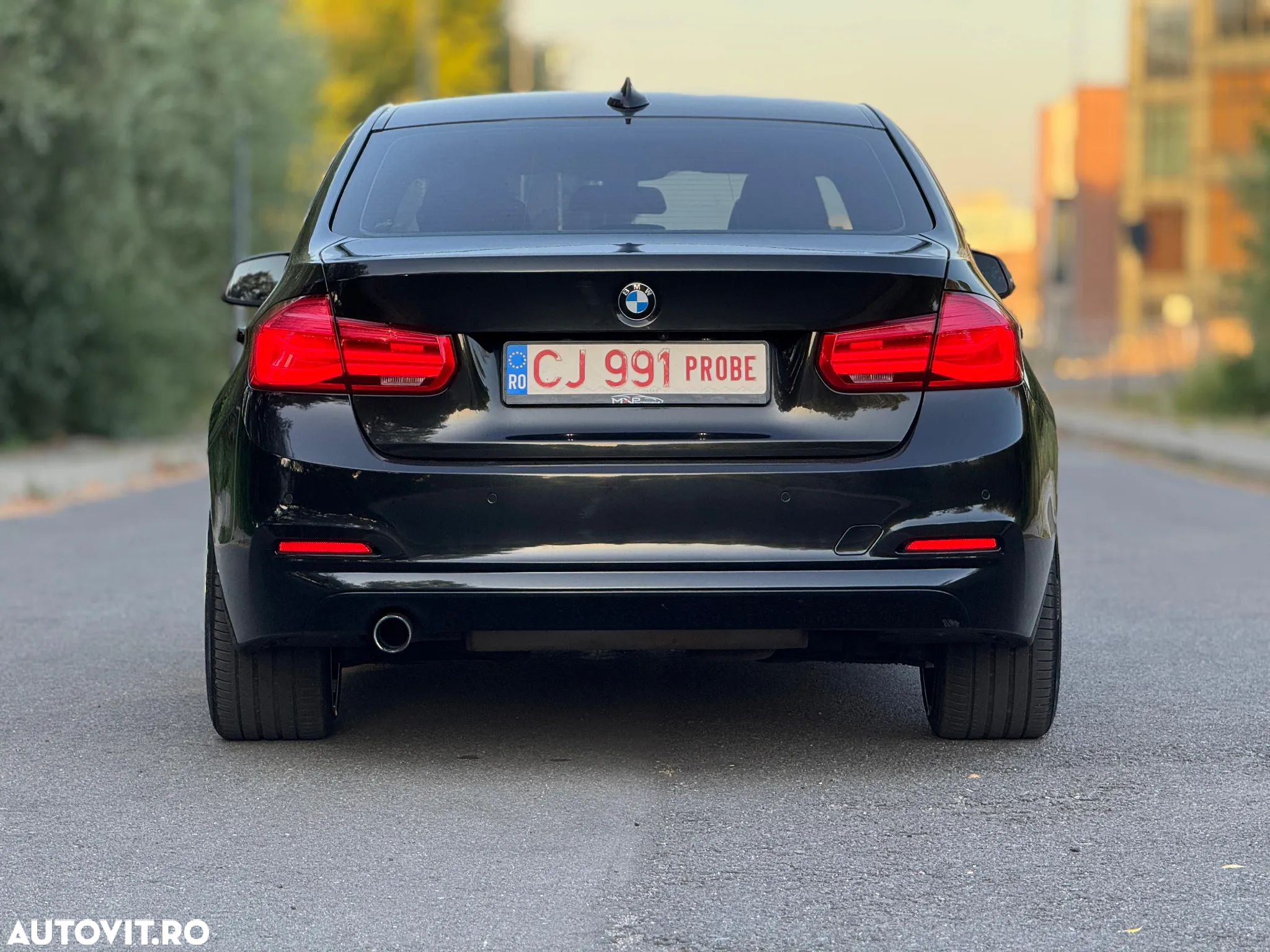 BMW Seria 3 318i Aut. Advantage - 30