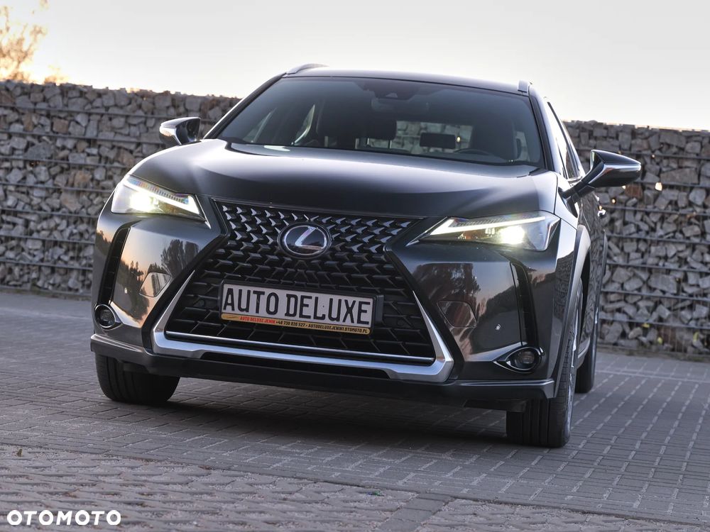 Lexus UX 250h GPF Elegance 2WD - 16