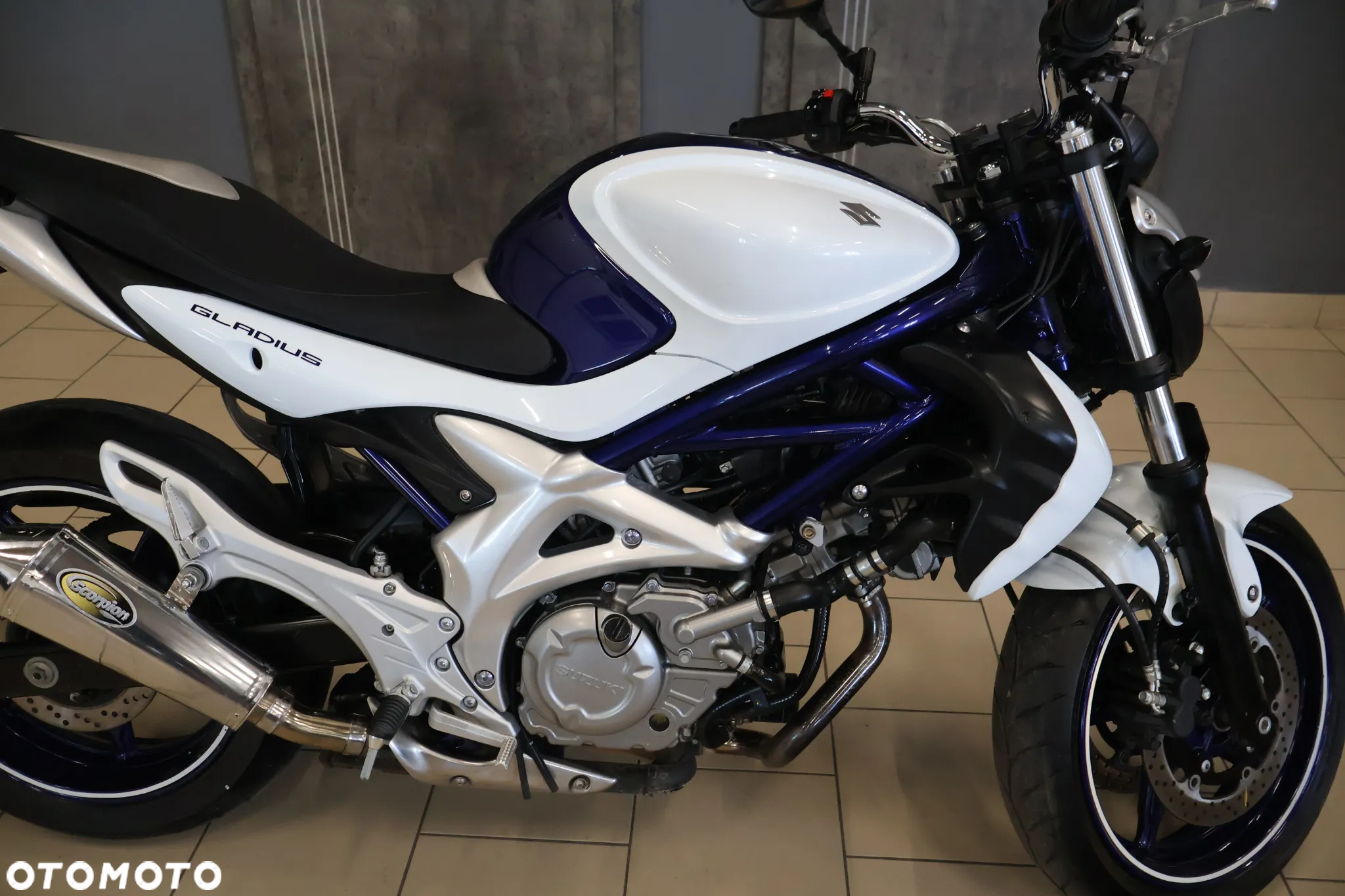 Suzuki Gladius - 4