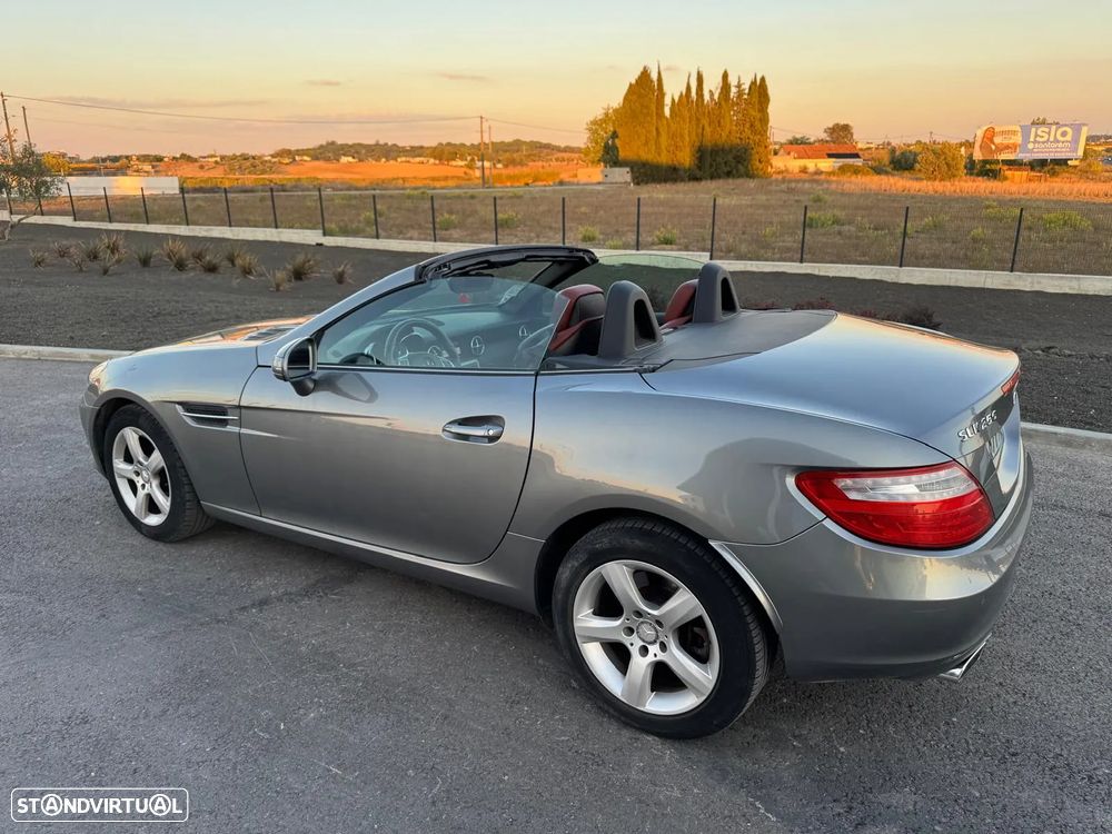 Mercedes-Benz SLK 250 CDI (BlueEFFICIENCY) - 4
