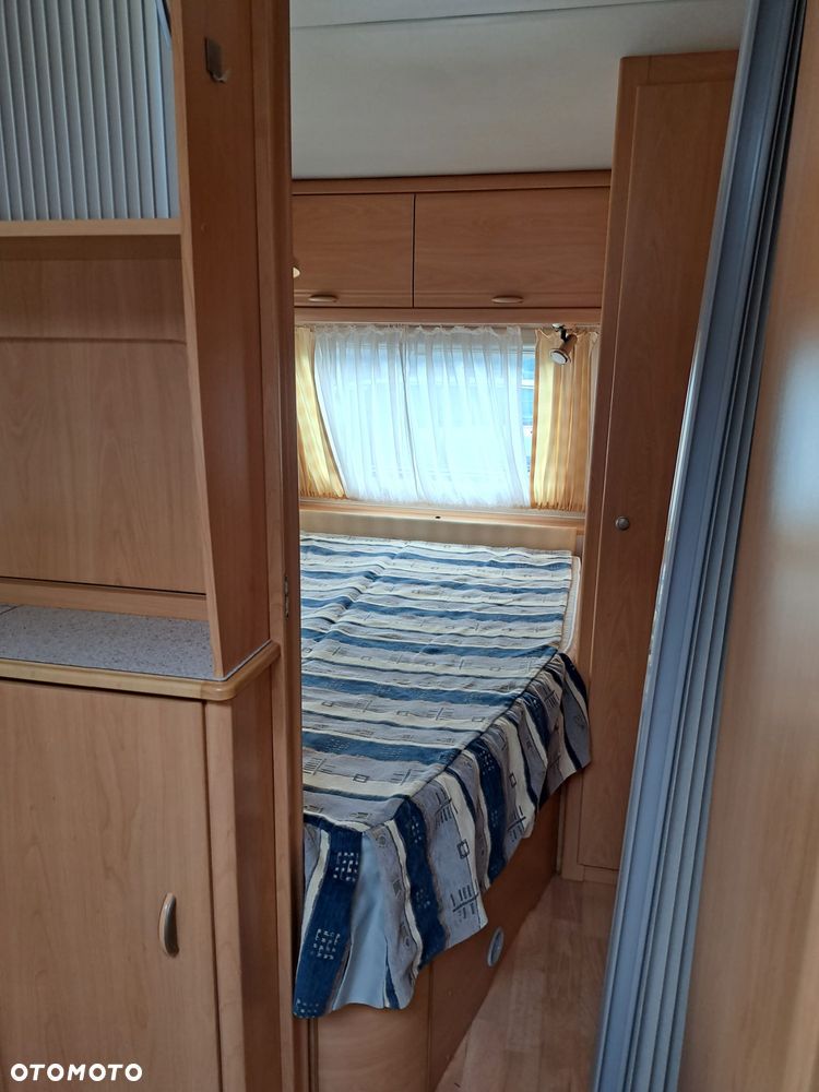 Wilk SPORT 490 - 23
