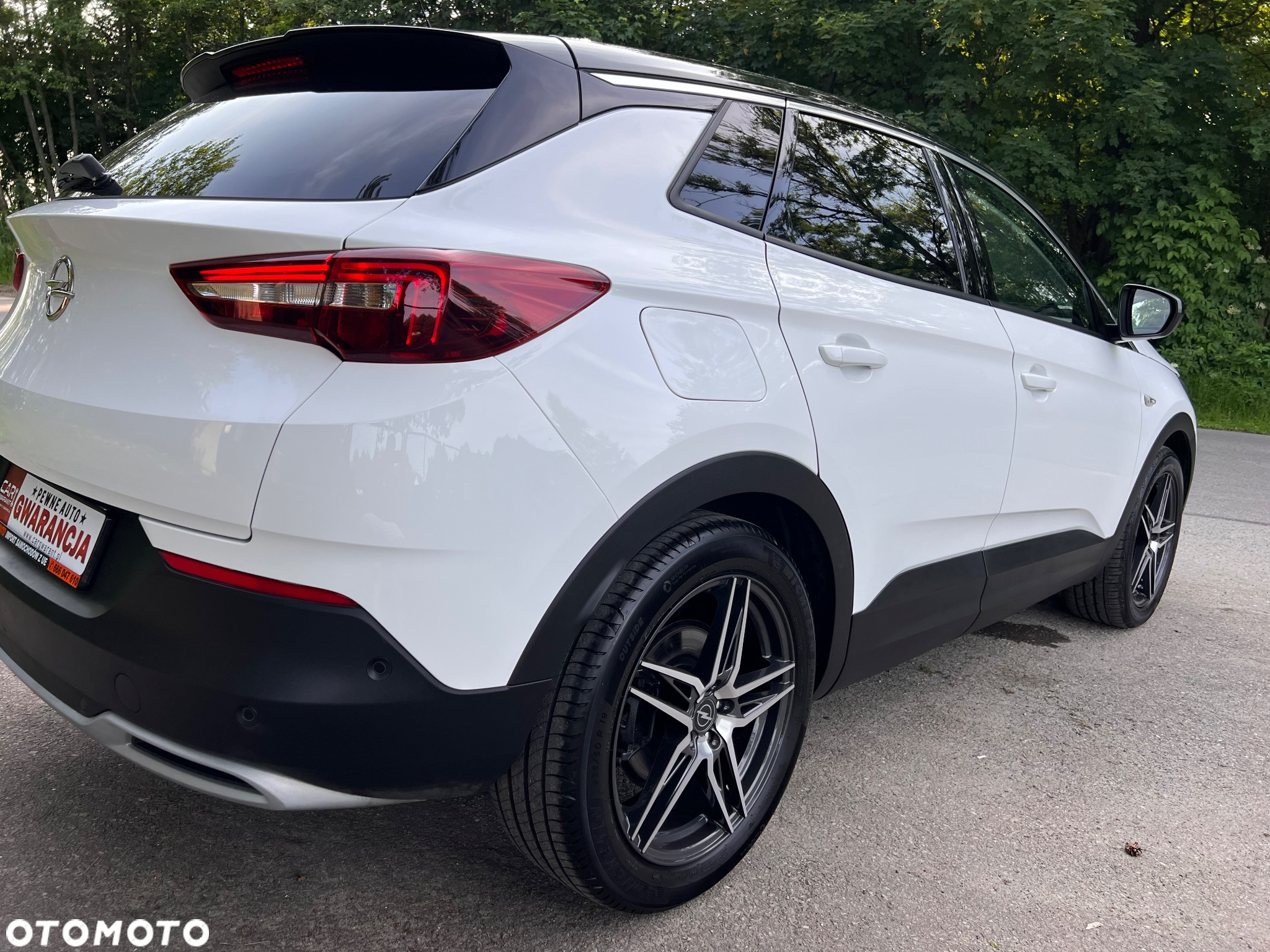 Opel Grandland X 2.0 CDTI Innovation S&S - 19