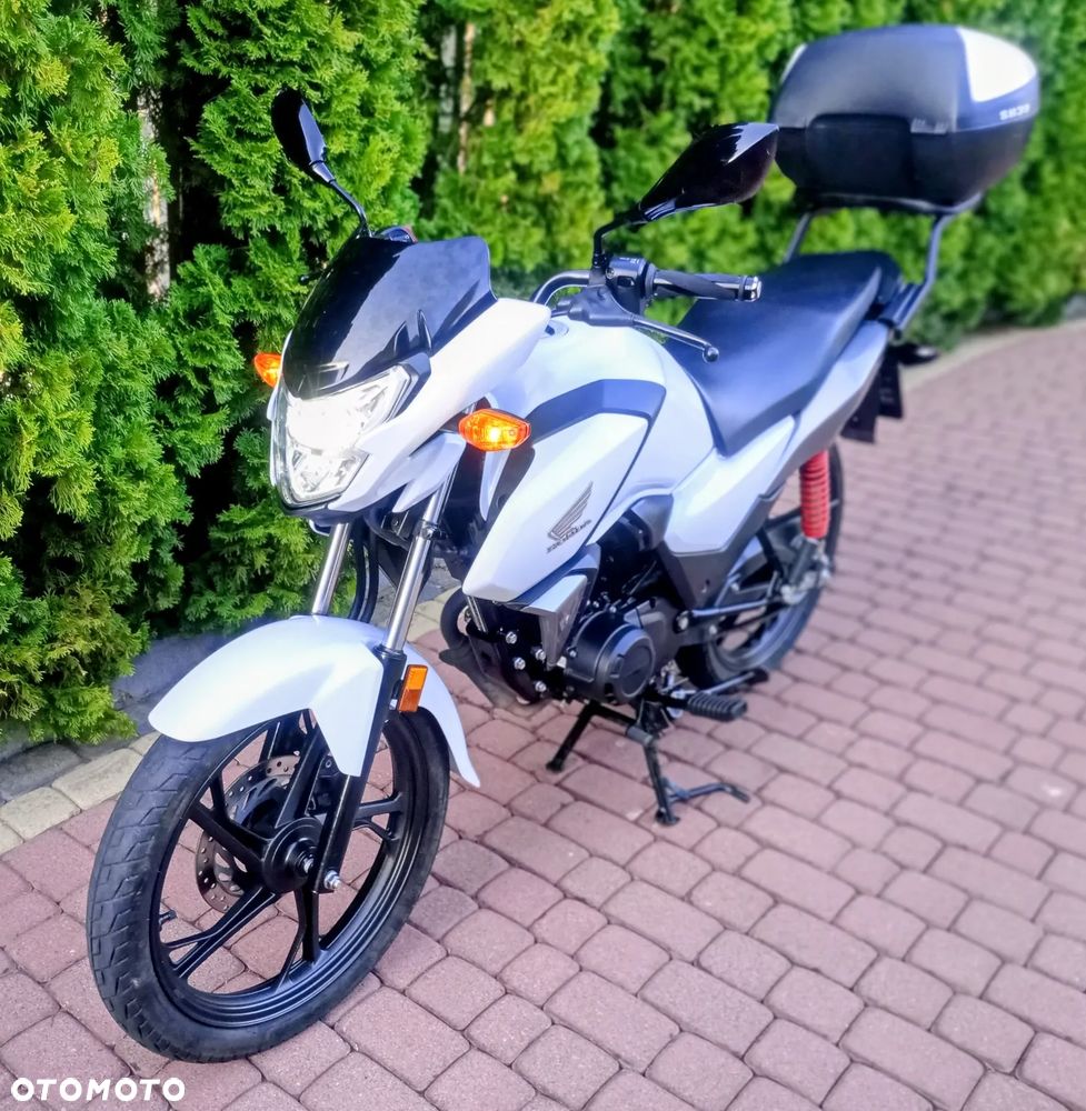Honda CBF - 8
