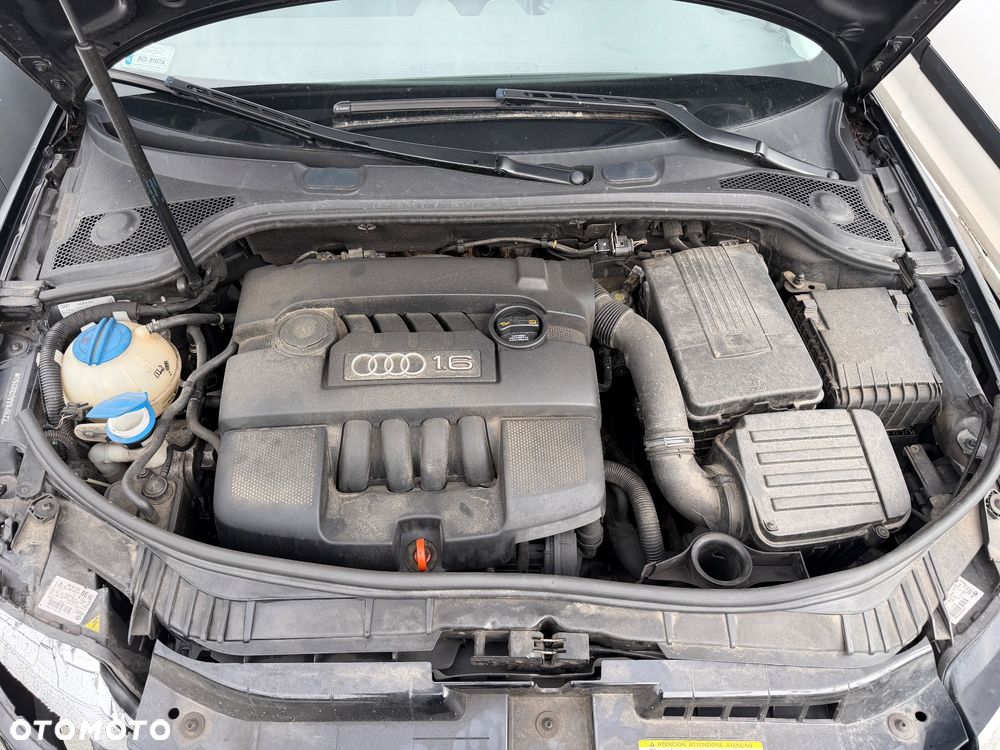Audi A3 2009 photo 5