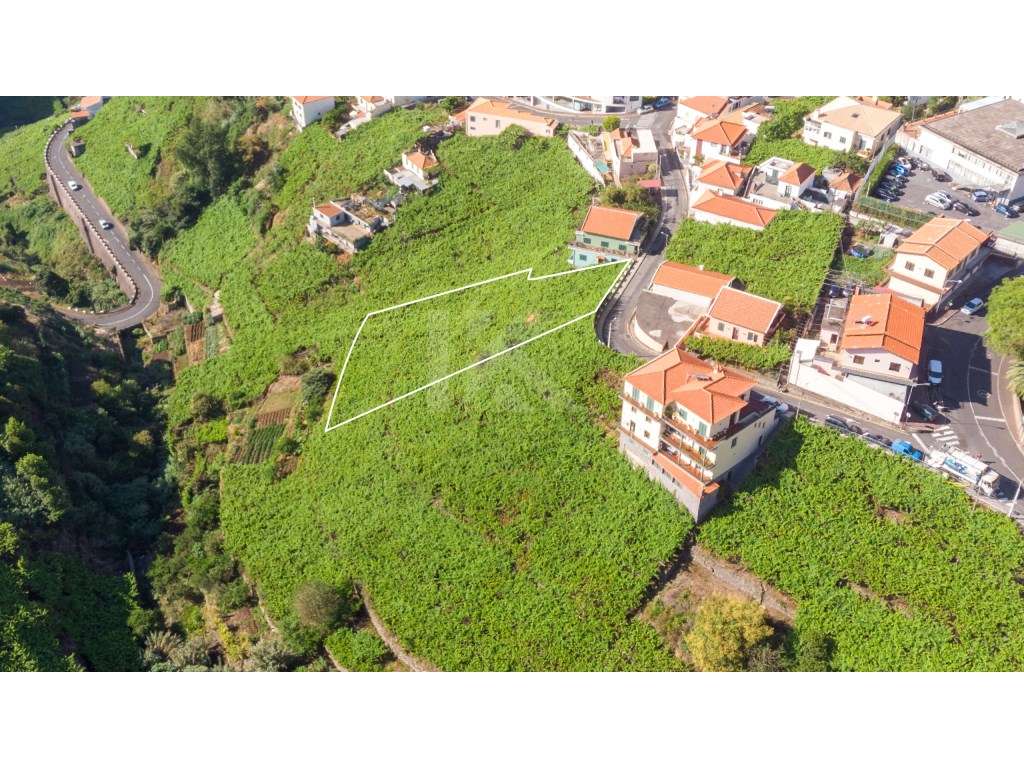 Lote Estreito de Câmara de Lobos - Grande imagem: 2/8