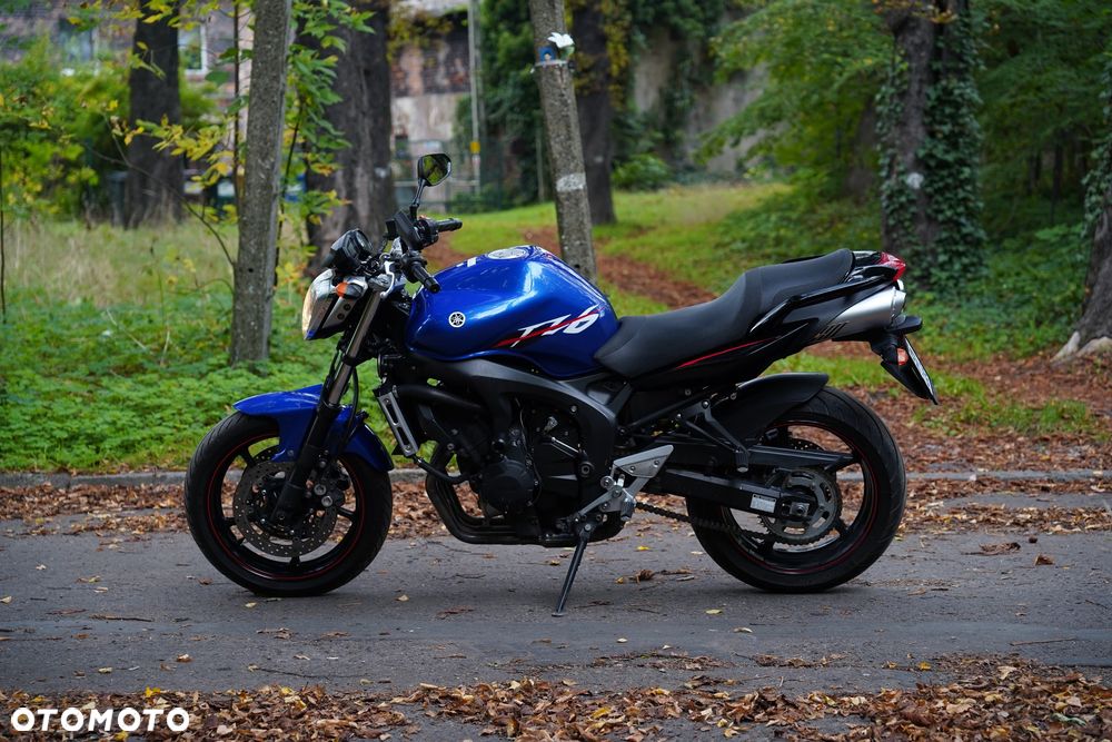 Yamaha FZ6 - 4