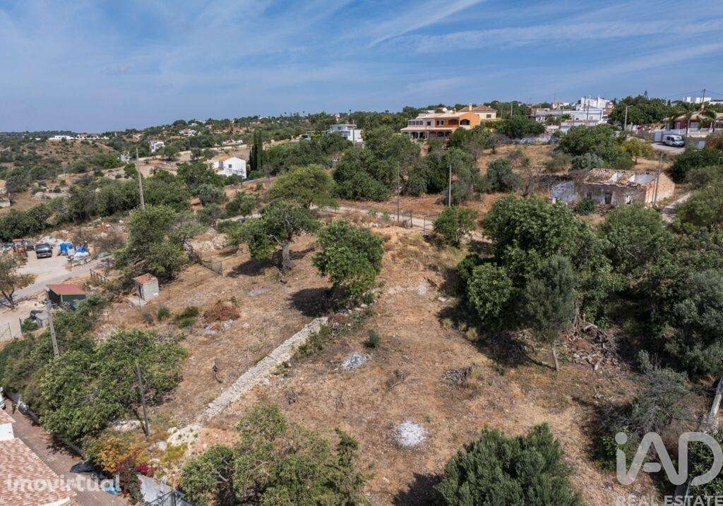 Terreno em Boliqueime - Grande imagem: 4/14