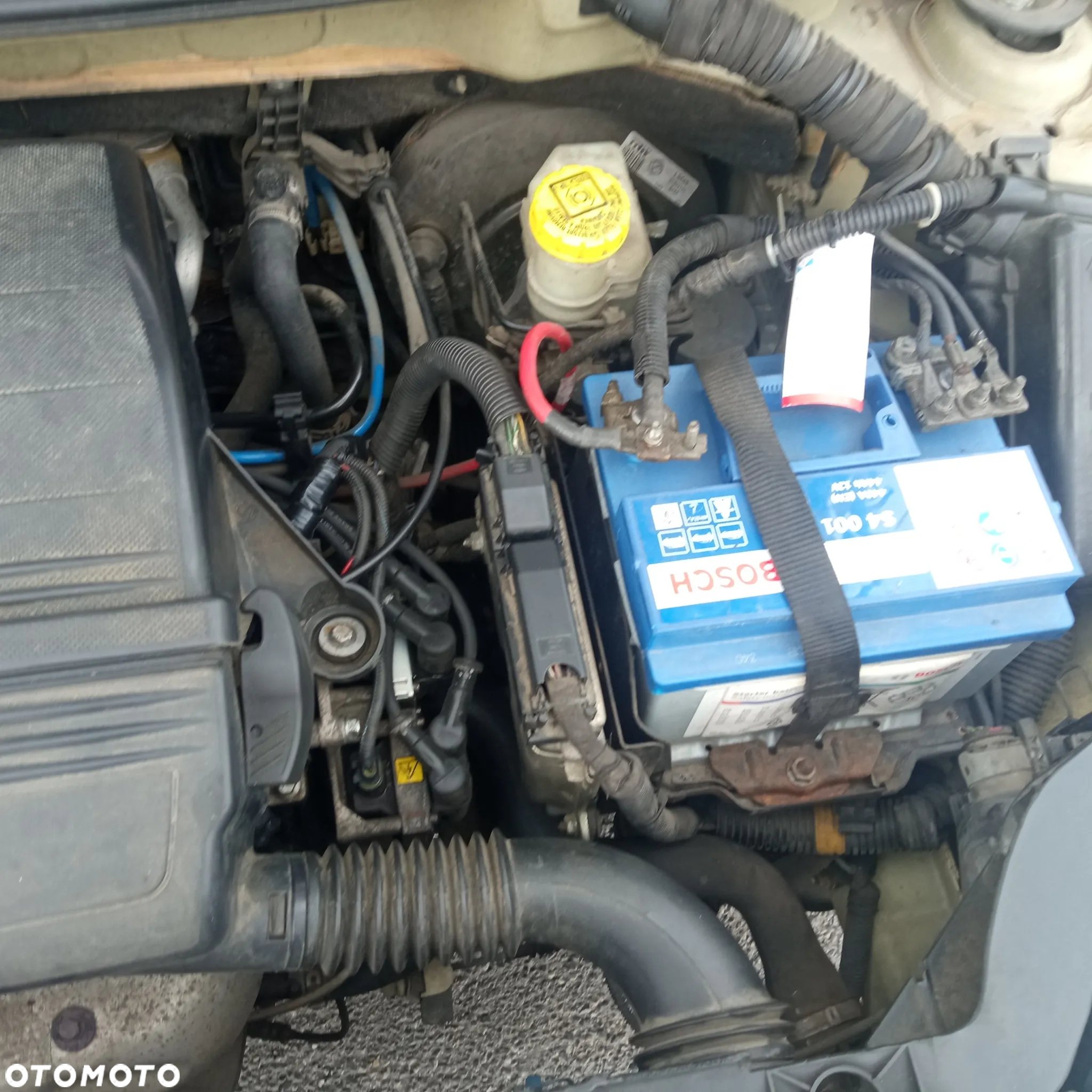 Fiat Panda - 17
