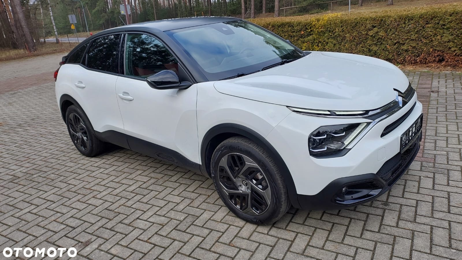 Citroën C4 1.5 BlueHDi Feel S&S - 7