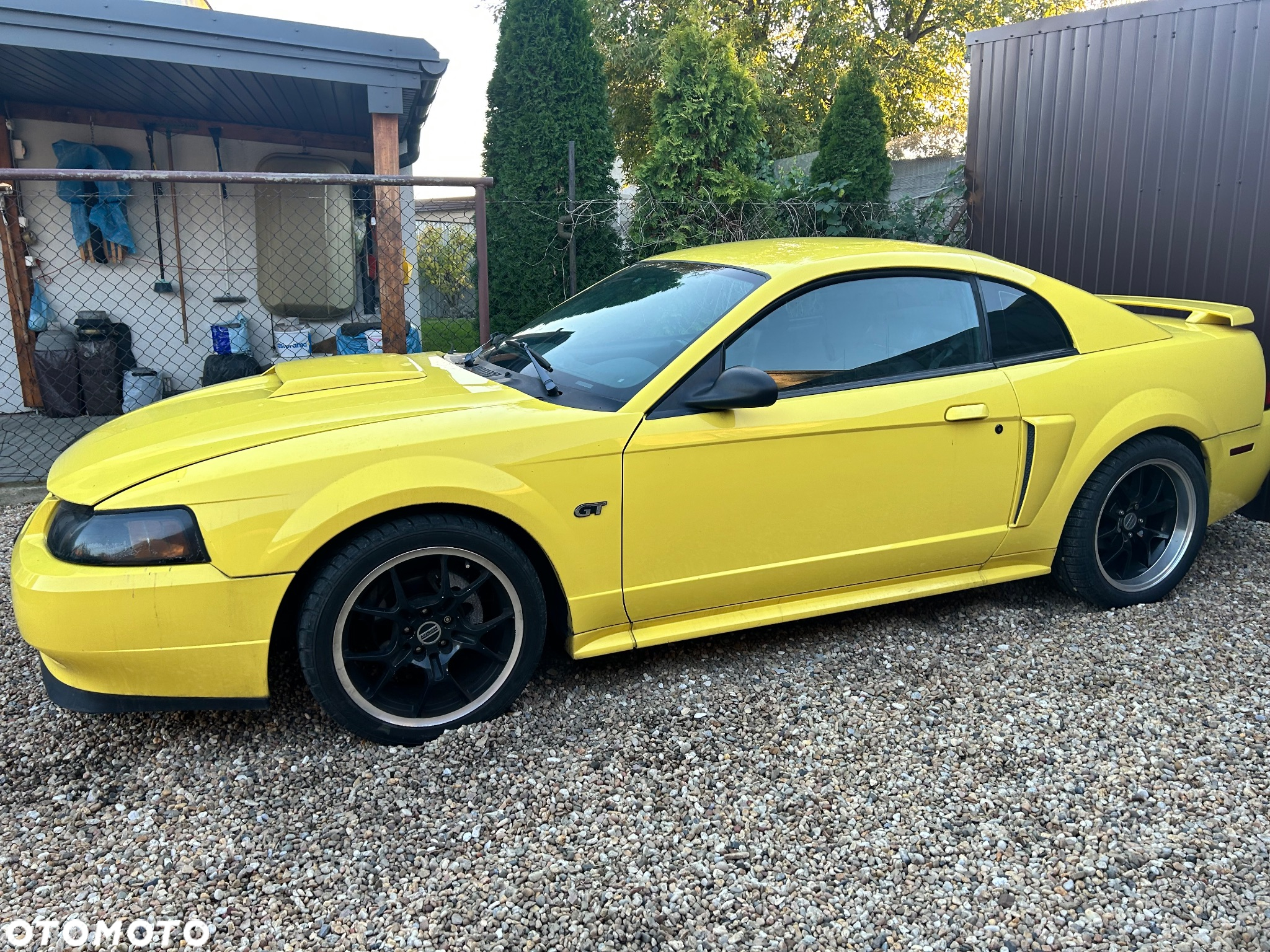 Ford Mustang - 3