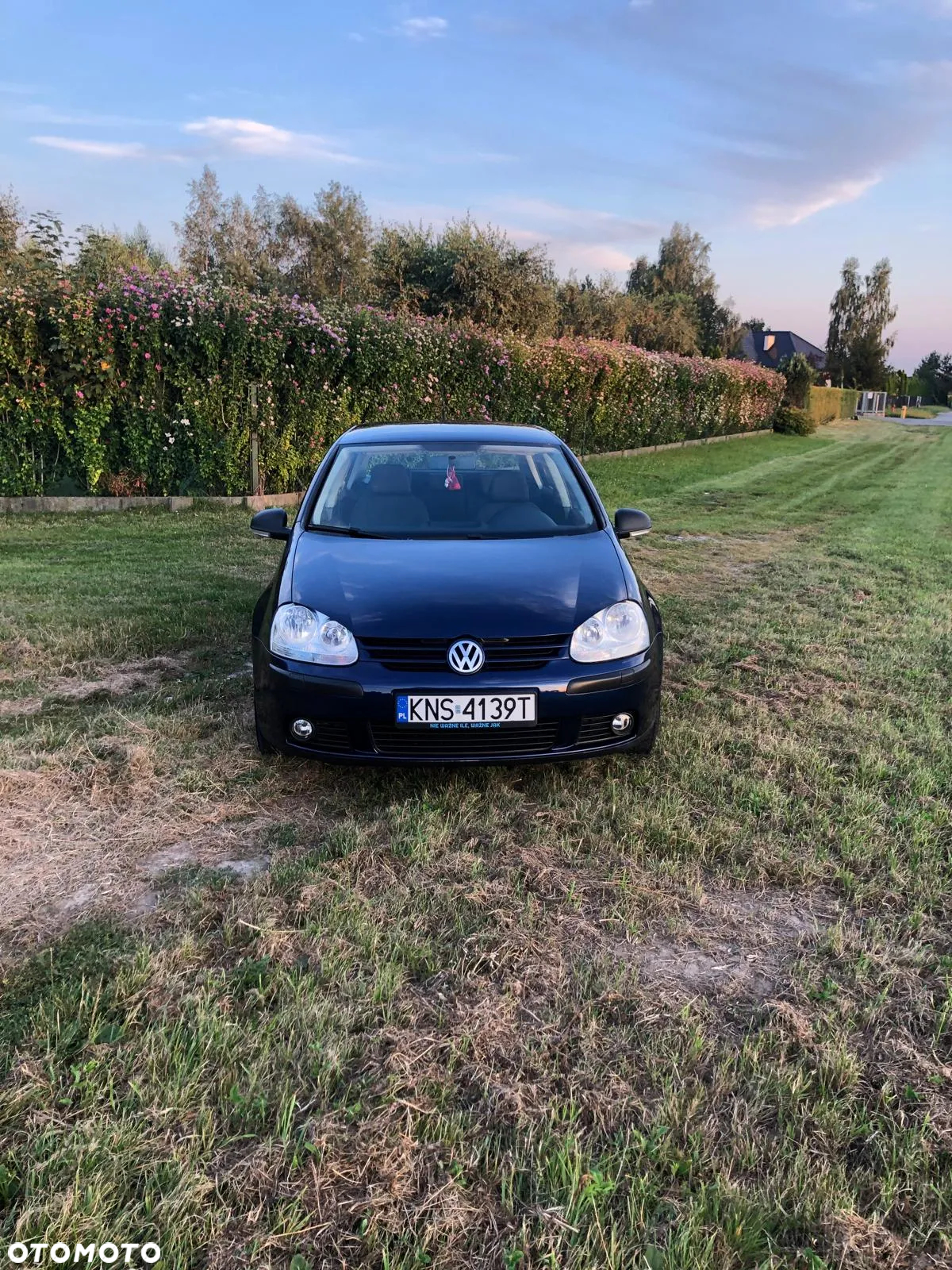 Volkswagen Golf - 4