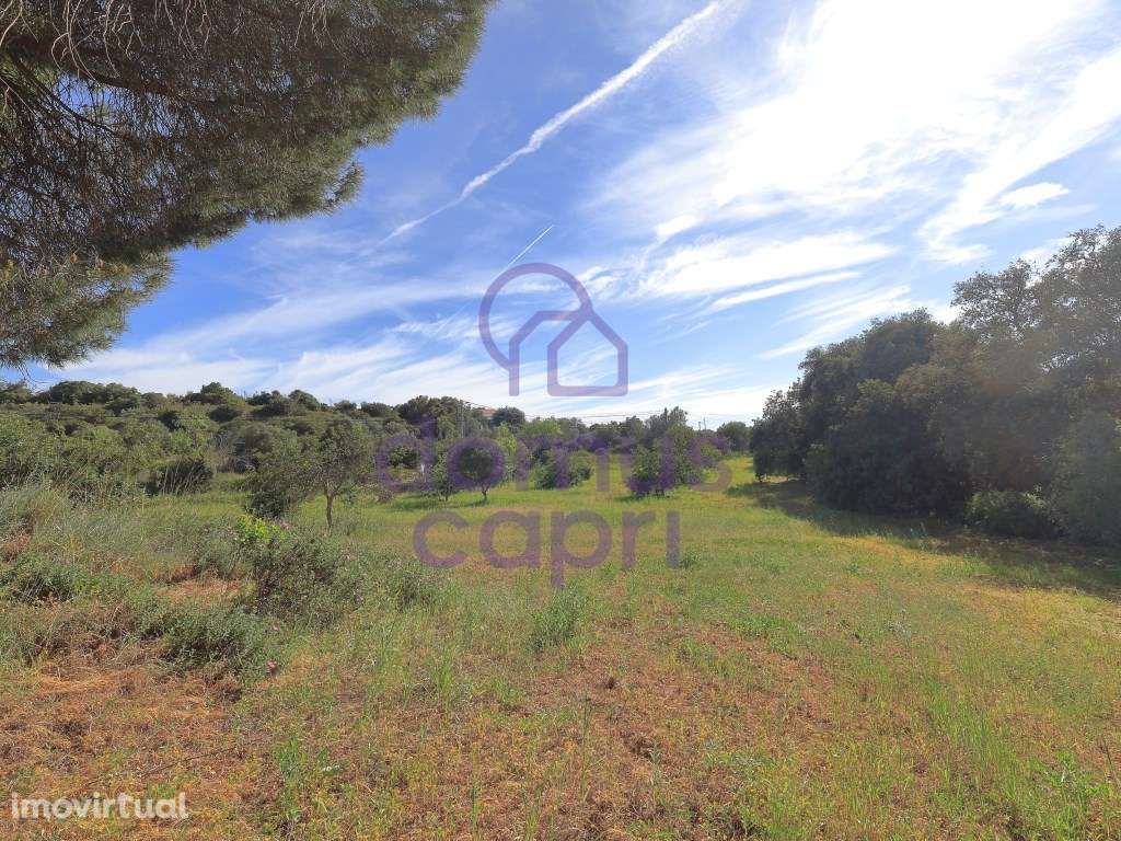 Terreno Urbanizável em Quatrim - Moncarapacho - Grande imagem: 5/17