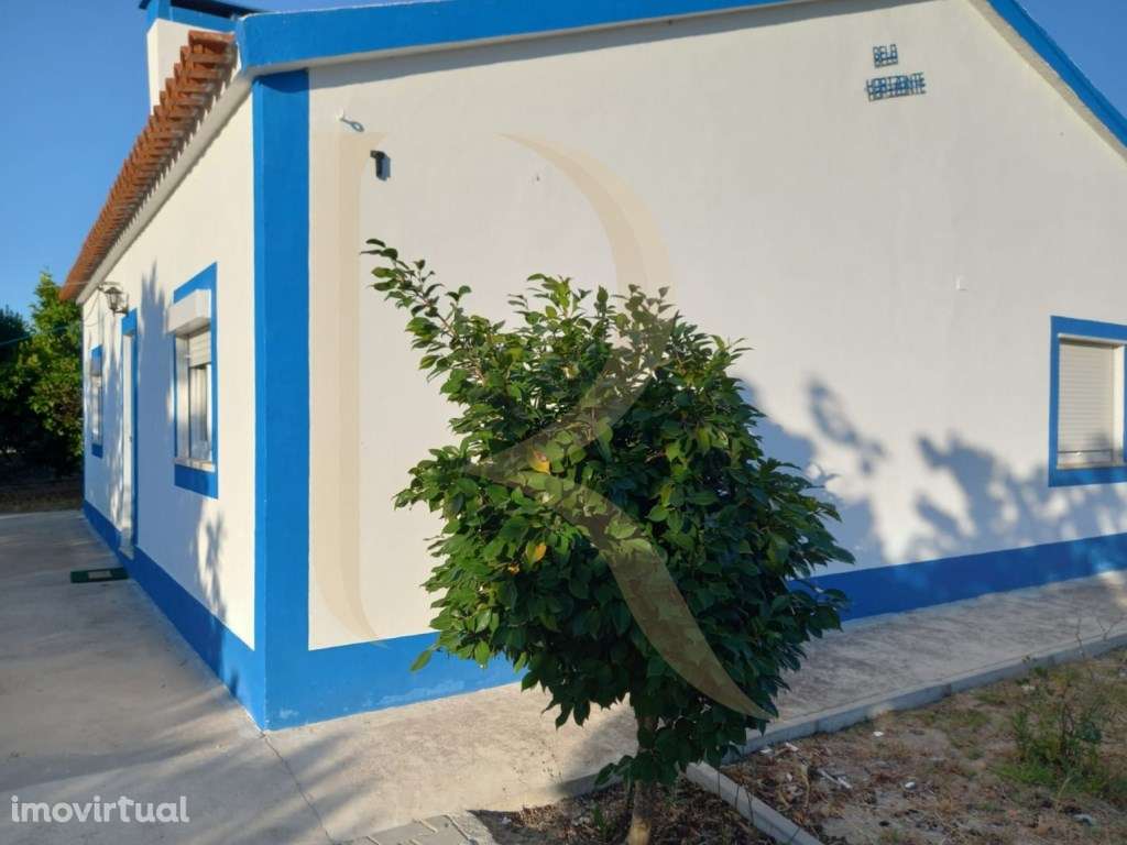 Moradia T3 transformada em T2 com Garagem, inserida num terreno de ... - Grande imagem: 4/33