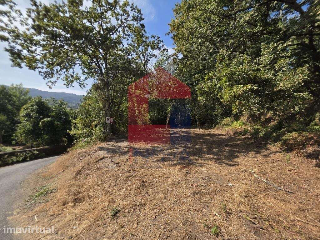 Terreno Florestal, Pico - Grande imagem: 2/41