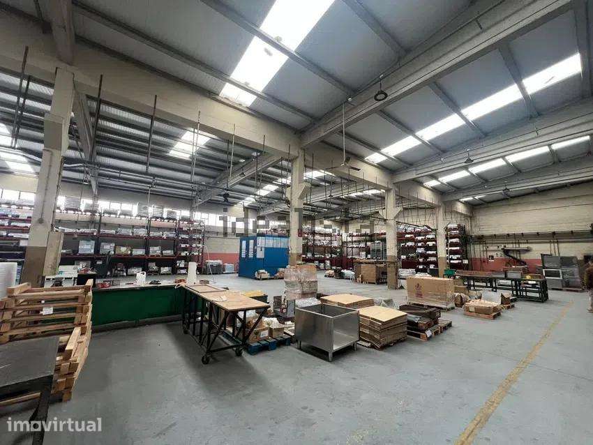 Armazém Industrial, logradouro e Painéis Solares - Grande imagem: 3/22