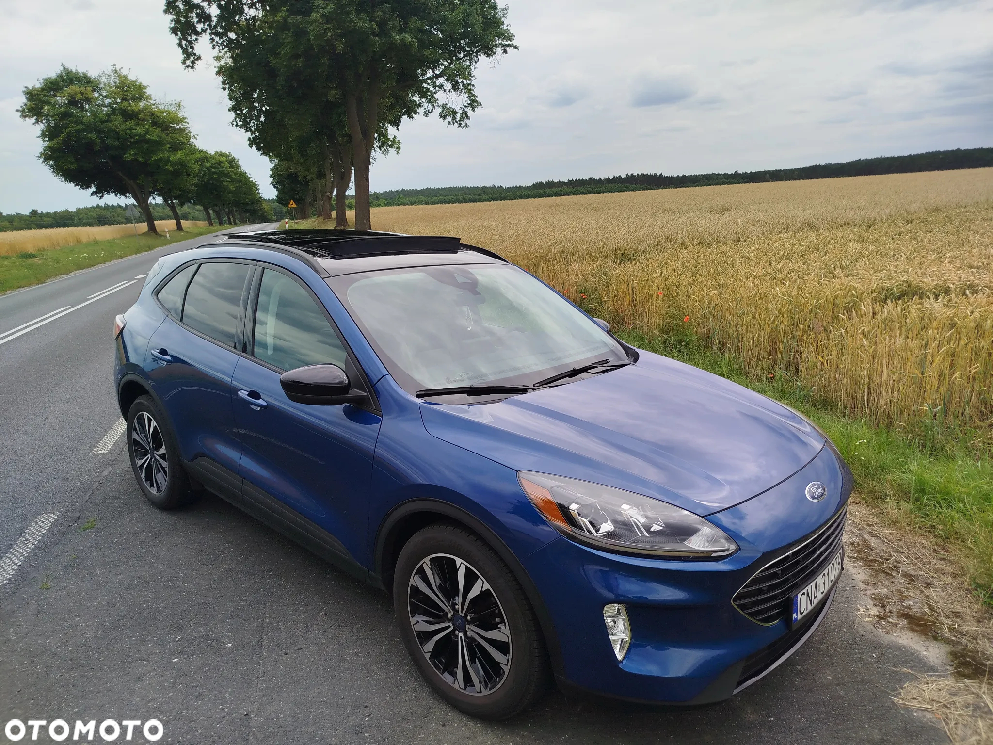 Ford Kuga - 2