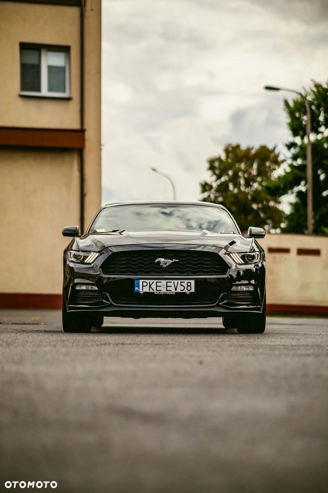 Ford Mustang 3.7 V6 - 14