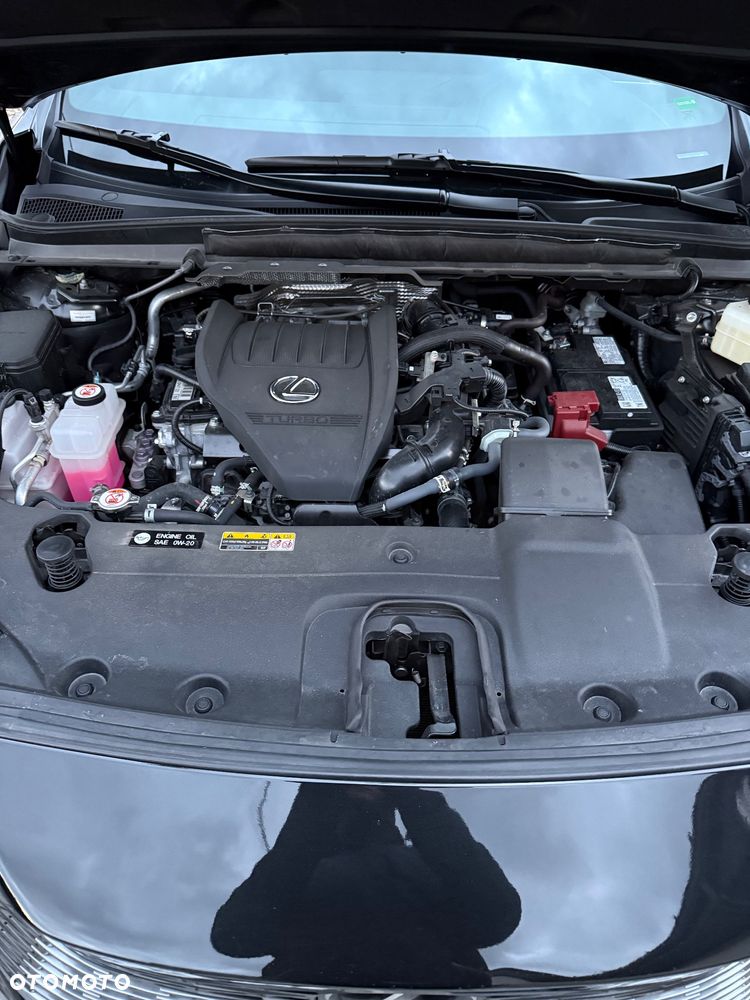 Lexus RX - 22