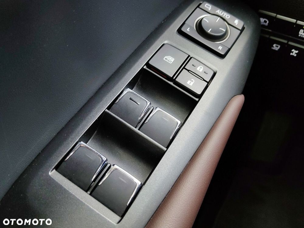 Lexus NX 300 Omotenashi AWD - 22