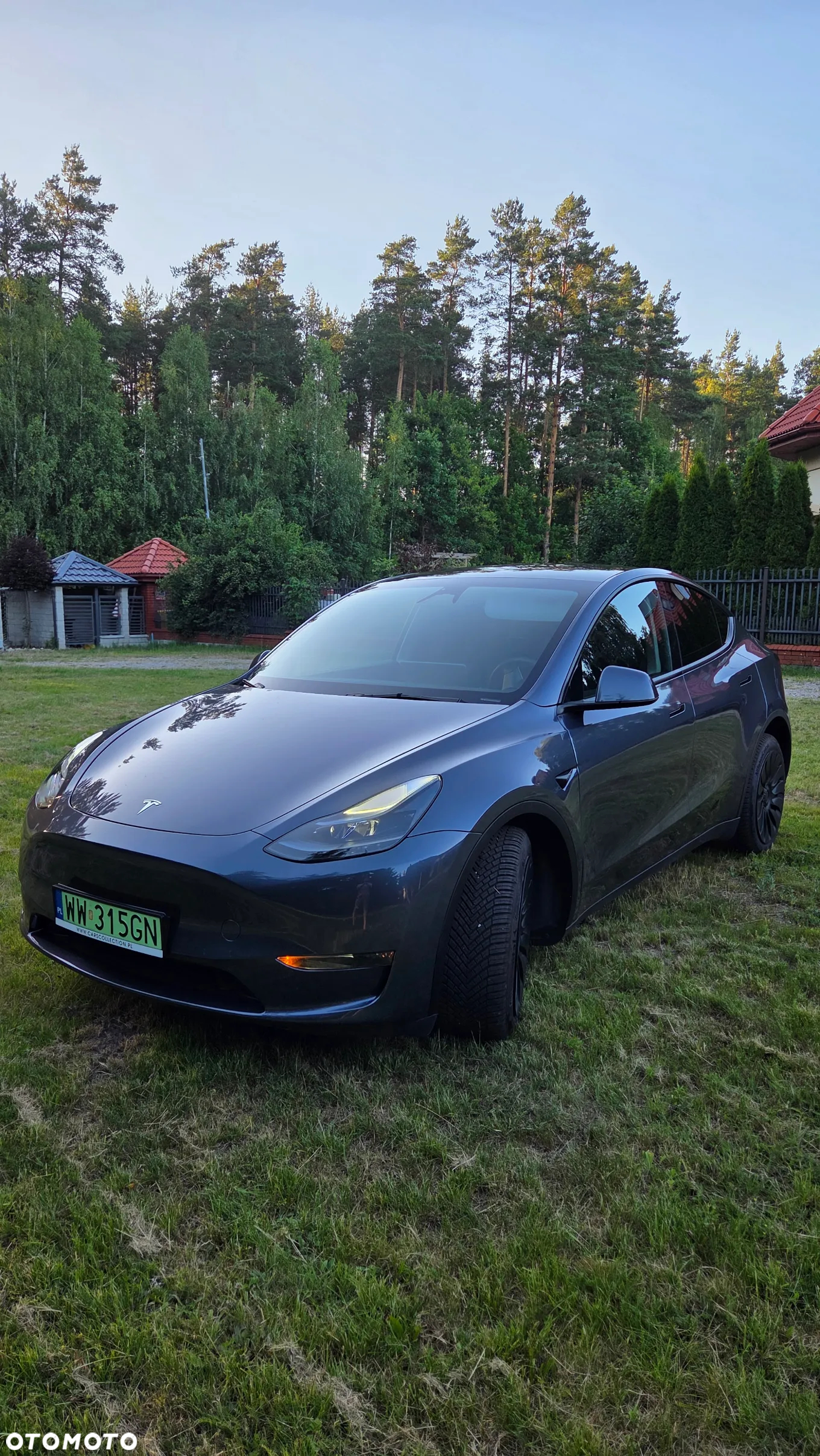Tesla Y Model Long Range Dual Motor AWD - 10